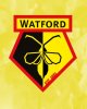 Watford+FC+-BEA+Rebrand5 (2).jpg