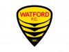 WatfordFC_Main_AdamSteel.jpg