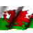 Wales Hornet